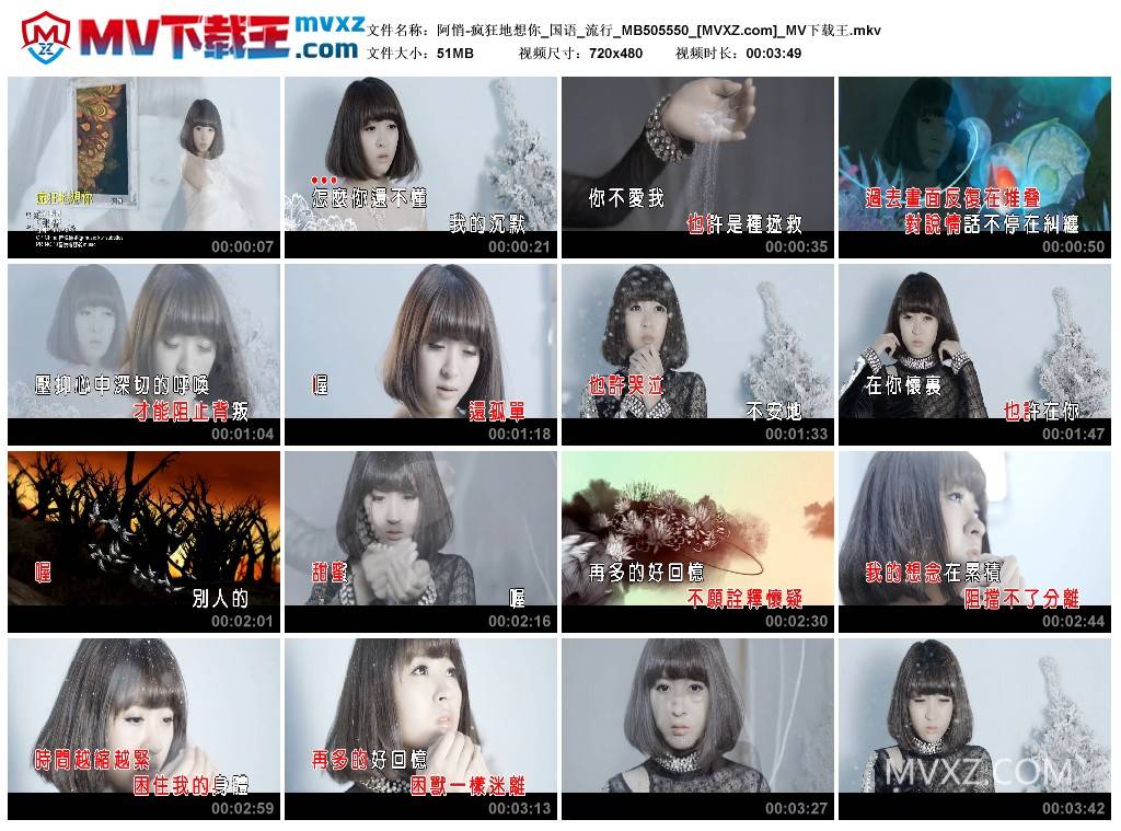 阿悄-疯狂地想你_国语_流行_MB505550